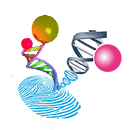 nimble_asset_Bildmarke_DNA_Plasmonics