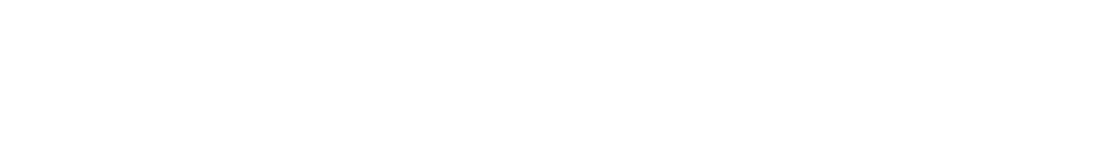 nimble_asset_dfg_logo_schriftzug_weiss